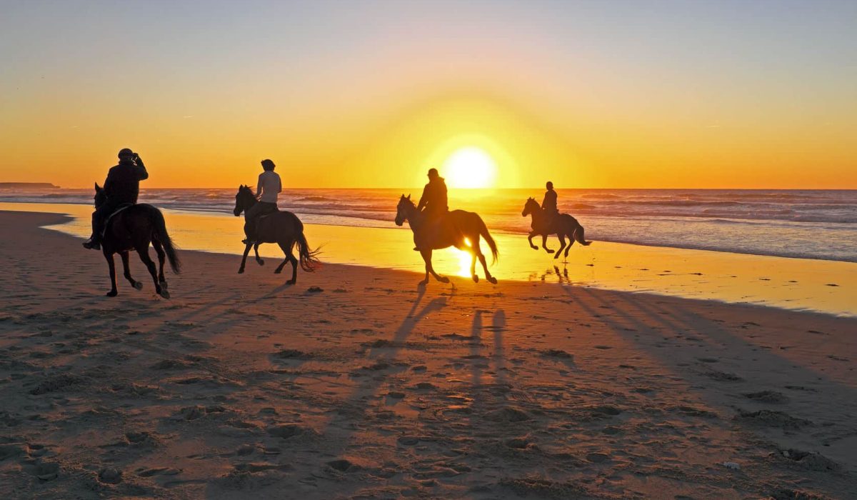 26376640 - horse riding on the beach at sunset